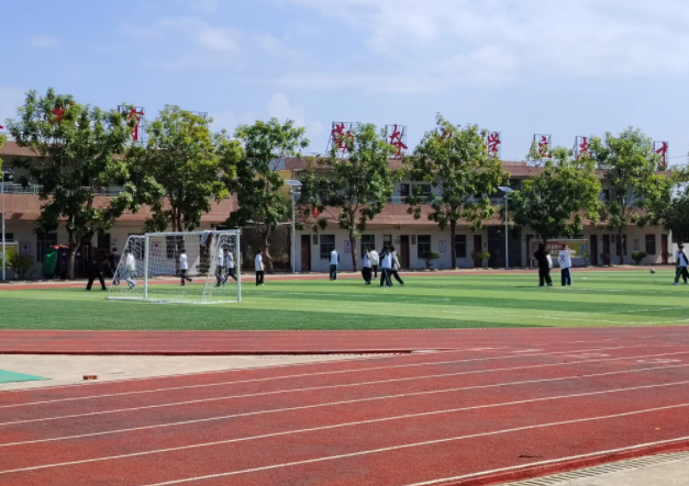 积极构建德智体美劳全面培育的教育体系形成体教交融产教协同 积极构建德智体美劳全面培育的教育体系形成体教交融产教协同